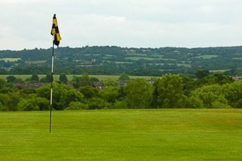 Loughton Golf Club: 18 Holes and Lesson (from £24) With Indian Meal (from £59)