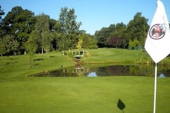 Two 60-Minute PGA Golf Lessons With Swing Analysis from £25 with David Playdon Golf at Nailcote Hall