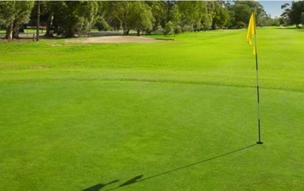 Golf for 2 at Ingol Village Golf Club including Breakfast or Lunch and a Drink