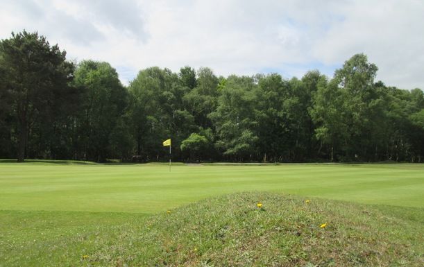 18 Holes of Golf for Two at New Forest Golf Club (mornings)